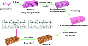 Graphical abstract: Optimum selective separation of Cu(ii) using 3D ordered macroporous chitosan films with different pore sizes