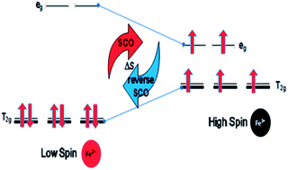 Graphical abstract: Optimised thermally driven molecular stability of an SCO metal complex for TEC Seebeck generation enhancement