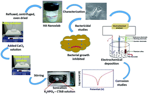 Graphical abstract: Electro-deposition of bactericidal and corrosion-resistant hydroxyapatite nanoslabs