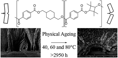 Graphical abstract: Accelerated physical ageing of poly(1,4-cyclohexylenedimethylene-co-2,2,4,4-tetramethyl-1,3-cyclobutanediol terephthalate)