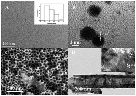 Graphical abstract: In situ growth of carbon dots on TiO2 nanotube arrays for PEC enzyme biosensors with visible light response