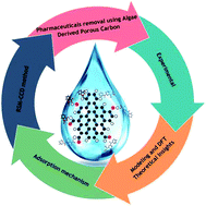 Graphical abstract: Selected pharmaceuticals removal using algae derived porous carbon: experimental, modeling and DFT theoretical insights