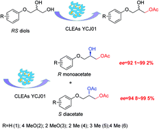 Graphical abstract: Efficient resolution of 3-aryloxy-1,2-propanediols using CLEA-YCJ01 with high enantioselectivity