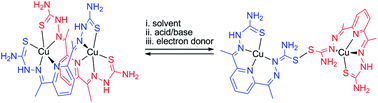 Graphical abstract: Factors that determine thione(thiol)–disulfide interconversion in a bis(thiosemicarbazone) copper(ii) complex