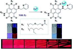 Graphical abstract: A fluorescent and colorimetric probe based on naphthalene diimide and its high sensitivity towards copper ions when used as test strips