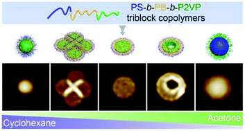 Graphical abstract: Formation of disk-like micelles of triblock copolymers in frustrating solvents