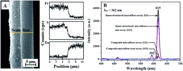 Graphical abstract: High pairing rate Janus-structured microfibers and array: high-efficiency conjugate electrospinning fabrication, structure analysis and co-instantaneous multifunctionality of anisotropic conduction, magnetism and enhanced red fluorescence
