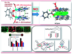 Graphical abstract: Solvent-driven structural topology involving energetically significant intra- and intermolecular chelate ring contacts and anticancer activities of Cu(ii) phenanthroline complexes involving benzoates: experimental and theoretical studies