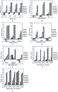 Graphical abstract: The effect of fermentation conditions on the structure and anti-tumor activity of polysaccharides from Cordyceps gunnii