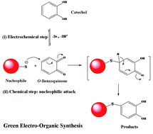 Graphical abstract: Green electrochemical strategy for one-step synthesis of new catechol derivatives