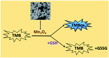 Graphical abstract: Mn3O4 microspheres as an oxidase mimic for rapid detection of glutathione