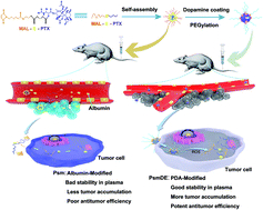 Graphical abstract: Polydopamine-modified ROS-responsive prodrug nanoplatform with enhanced stability for precise treatment of breast cancer