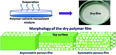 Graphical abstract: Tailoring pore distribution in polymer films via evaporation induced phase separation
