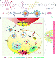 Graphical abstract: An energy-blocking nanoparticle decorated with anti-VEGF antibody to reverse chemotherapeutic drug resistance