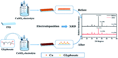 Graphical abstract: Effect of glyphosate on X-ray diffraction of copper films prepared by electrochemical deposition