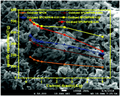 Graphical abstract: Polyaniline nanorods random assembly on sugarcane bagasse pith-based carbon sheets with promising capacitive performance