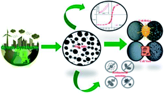 Graphical abstract: In vitro cytotoxicity and antibiotic application of green route surface modified ferromagnetic TiO2 nanoparticles