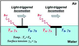 Graphical abstract: Light-driven locomotion of a centimeter-sized object at the air–water interface: effect of fluid resistance