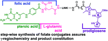 Graphical abstract: A step-wise synthetic approach is necessary to access γ-conjugates of folate: folate-conjugated prodigiosenes
