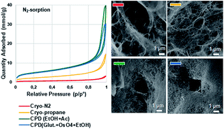 Graphical abstract: Cellulose nanofibrils prepared by gentle drying methods reveal the limits of helium ion microscopy imaging