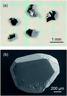 Graphical abstract: Single crystal growth and structure analysis of type-I (Na/Sr)–(Ga/Si) quaternary clathrates