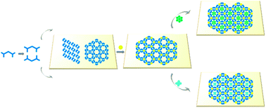 Graphical abstract: Formation of multicomponent 2D assemblies of C2v-symmetric terphenyl tetracarboxylic acid at the solid/liquid interface: recognition, selection, and transformation