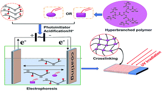 Graphical abstract: Novel waterborne UV-curable coatings based on hyperbranched polymers via electrophoretic deposition
