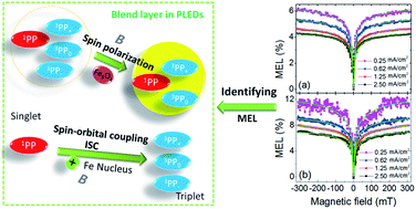 Graphical abstract: Using magneto-electroluminescence as a fingerprint to identify the spin polarization and spin–orbit coupling of magnetic nanoparticle doped polymer light emitting diodes