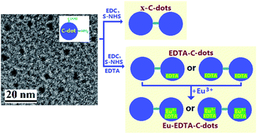 Graphical abstract: EDTA-bonded multi-connected carbon-dots and their Eu3+ complex: preparation and optical properties