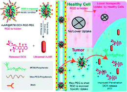 Graphical abstract: Active targeting drug-gold nanorod hybrid nanoparticles for amplifying photoacoustic signal and enhancing anticancer efficacy