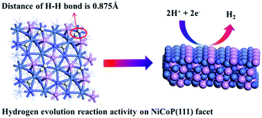 Graphical abstract: Hydrogen evolution reaction activity related to the facet-dependent electrocatalytic performance of NiCoP from first principles