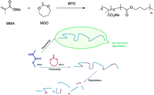 Graphical abstract: Influence of N-acetyl cysteine (NAC) and 2-methylene-1,3-dioxepane (MDO) on the properties of polymethyl methacrylate (PMMA) bone cement