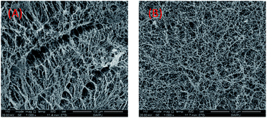 Graphical abstract: Rheological properties of an ultra-high salt hydrophobic associated polymer as a fracturing fluid system