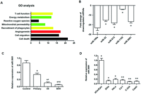 Graphical abstract: Retracted Article: RNA-sequencing identified miR-3681 as a negative regulator in the proliferation and migration of cervical cancer cells via the posttranscriptional suppression of HGFR