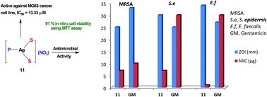 Graphical abstract: Silver derivatives of multi-donor heterocyclic thioamides as antimicrobial/anticancer agents: unusual bio-activity against methicillin resistant S. aureus, S. epidermidis, and E. faecalis and human bone cancer MG63 cell line