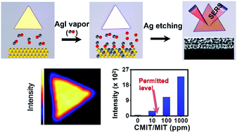 Graphical abstract: Intra-nanogap controllable Au plates as efficient, robust, and reproducible surface-enhanced Raman scattering-active platforms