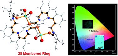 Graphical abstract: Luminescent zinc(ii) selone macrocyclic ring