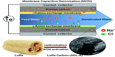 Graphical abstract: Activated Luffa derived biowaste carbon for enhanced desalination performance in brackish water