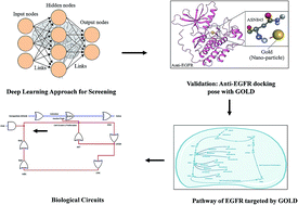 Graphical abstract: Evaluation of anti-EGFR-iRGD recombinant protein with GOLD nanoparticles: synergistic effect on antitumor efficiency using optimized deep neural networks