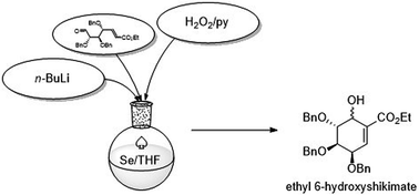 Graphical abstract: Gram-scale carbasugar synthesis via intramolecular seleno-Michael/aldol reaction