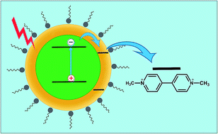 Graphical abstract: Photoinduced electron transfer in novel CdSe–Cu2Se type II core–shell quantum dots
