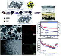 Graphical abstract: Nitrogen, sulfur-codoped micro–mesoporous carbon derived from boat-fruited sterculia seed for robust lithium–sulfur batteries