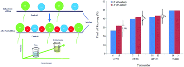 Graphical abstract: Investigation of synergistic effects between silica nanoparticles, biosurfactant and salinity in simultaneous flooding for enhanced oil recovery