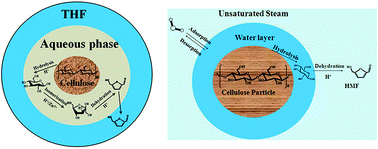 Graphical abstract: Liquid membrane catalytic model of hydrolyzing cellulose into 5-hydroxymethylfurfural based on the lattice Boltzmann method