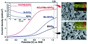 Graphical abstract: Bimetallic phosphide decorated Mo–BiVO4 for significantly improved photoelectrochemical activity and stability