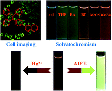 Graphical abstract: Aggregation-induced emission enhancement (AIEE)-active tetraphenylethene (TPE)-based chemosensor for Hg2+ with solvatochromism and cell imaging characteristics