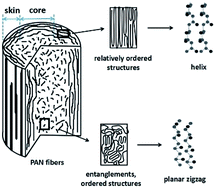 Graphical abstract: Hierarchical radial structure of polyacrylonitrile precursor formed during the wet-spinning process