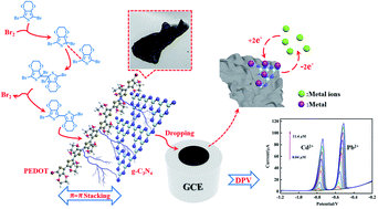 Graphical abstract: A bromine-catalysis-synthesized poly(3,4-ethylenedioxythiophene)/graphitic carbon nitride electrochemical sensor for heavy metal ion determination