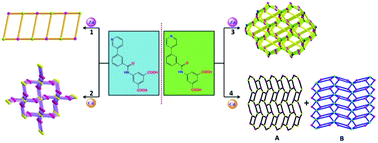 Graphical abstract: Four new Zn(ii) and Cd(ii) coordination polymers using two amide-like aromatic multi-carboxylate ligands: synthesis, structures and lithium–selenium batteries application