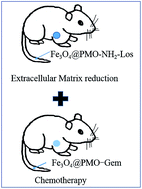 Graphical abstract: Sequential therapy for pancreatic cancer by losartan- and gemcitabine-loaded magnetic mesoporous spheres